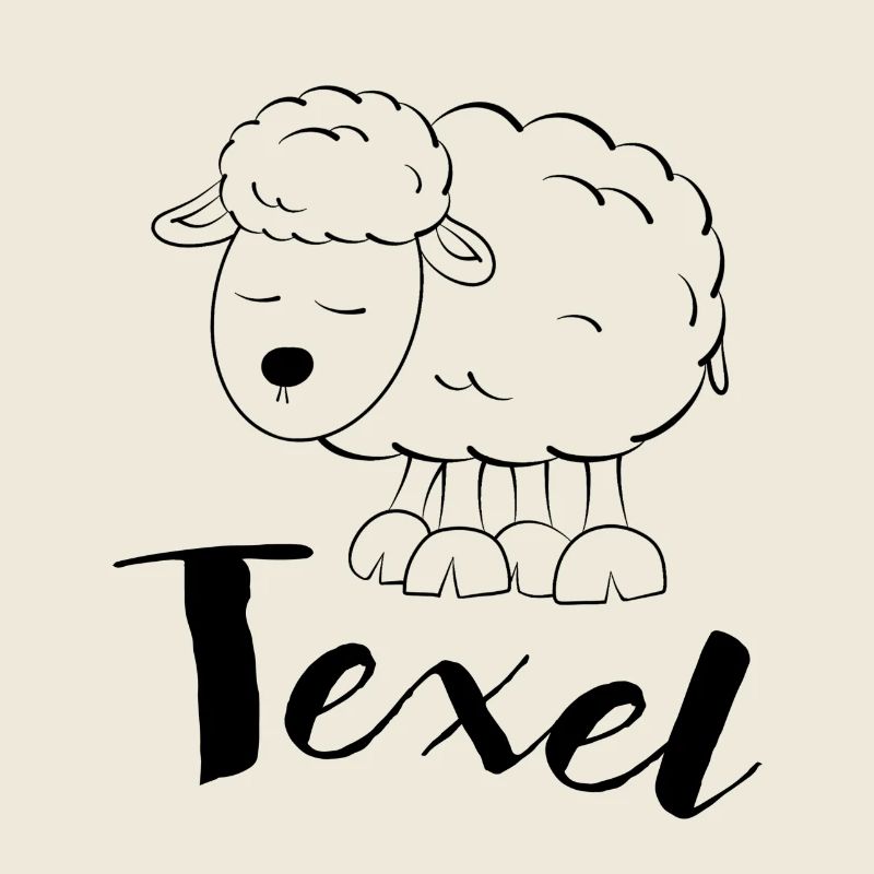 Texel Schaf