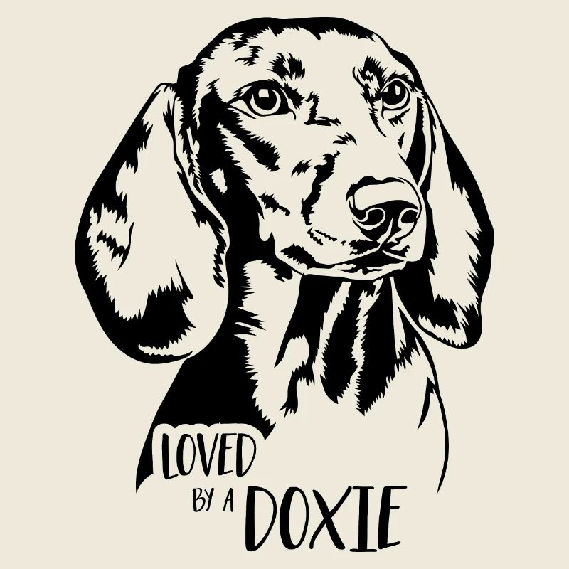 Teckel aimé par un Doxie Dogs Dire Wilsigns