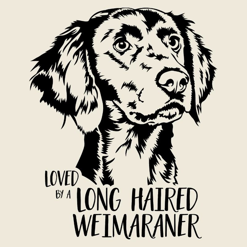 Loved by a Long Haired Weimaraner Hunde Wilsigns