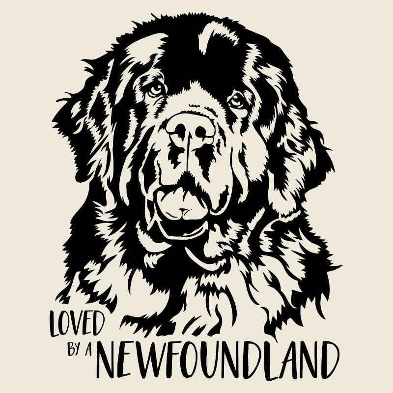 Loved by a Newfoundland Neufundländer Wilsigns