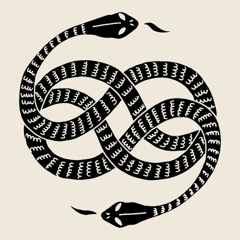 Serpents noirs infinis
