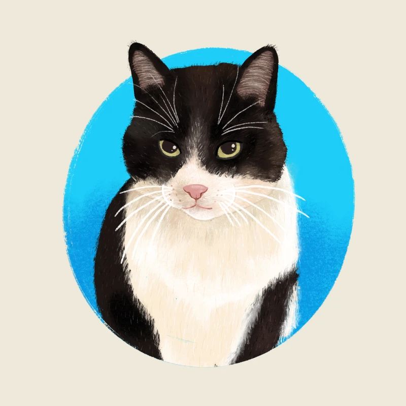Noir Blanc Chat