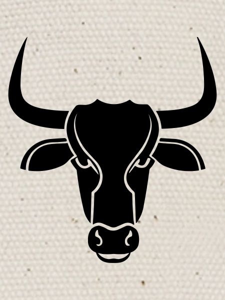 Stier