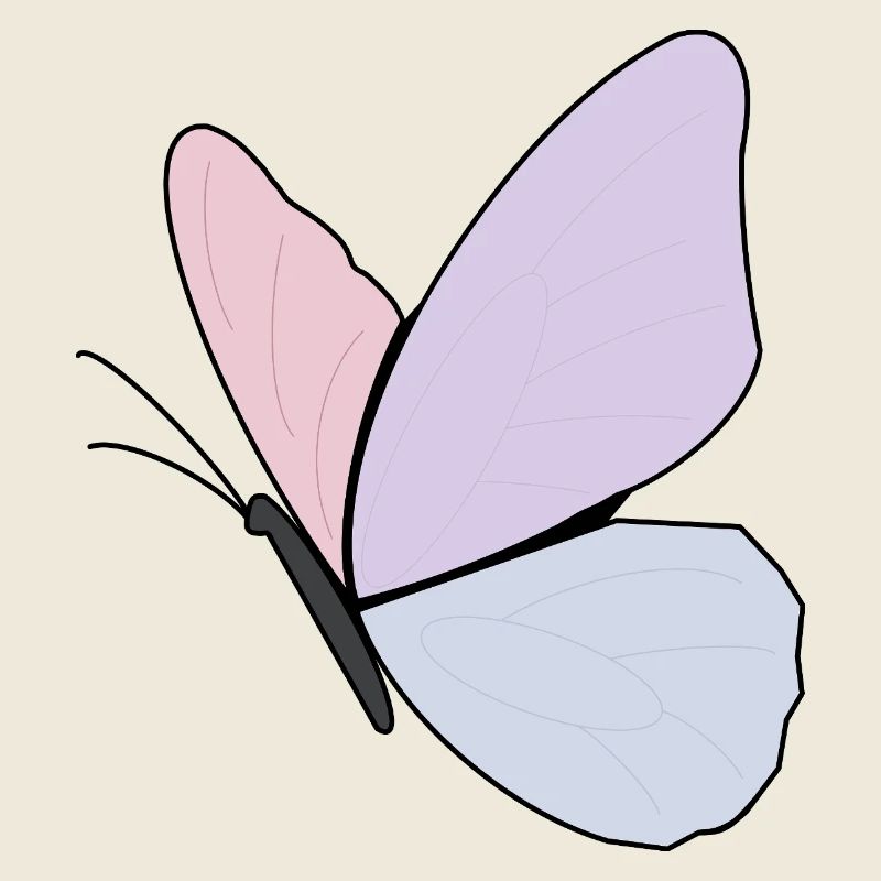 Conception de papillon pastel