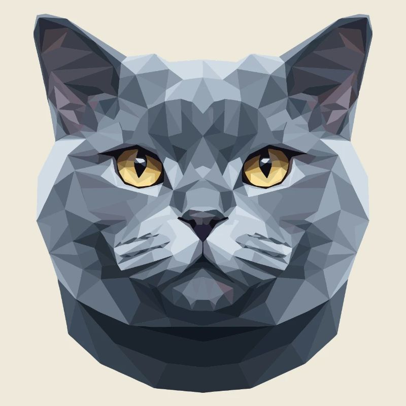 British Shorthair Chat BKH Chat Maman Chats Mignons