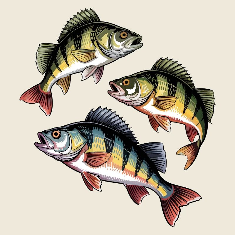 Pêche à la perche