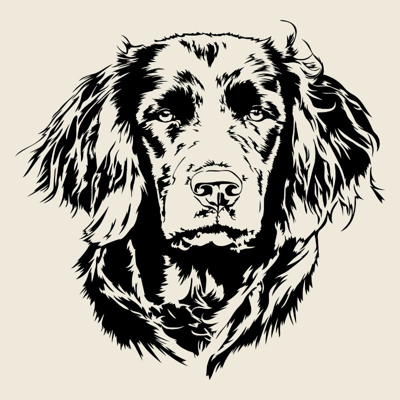 DEUTSCHER WACHTELHUND Jagdhund Jagdhunde Wilsigns