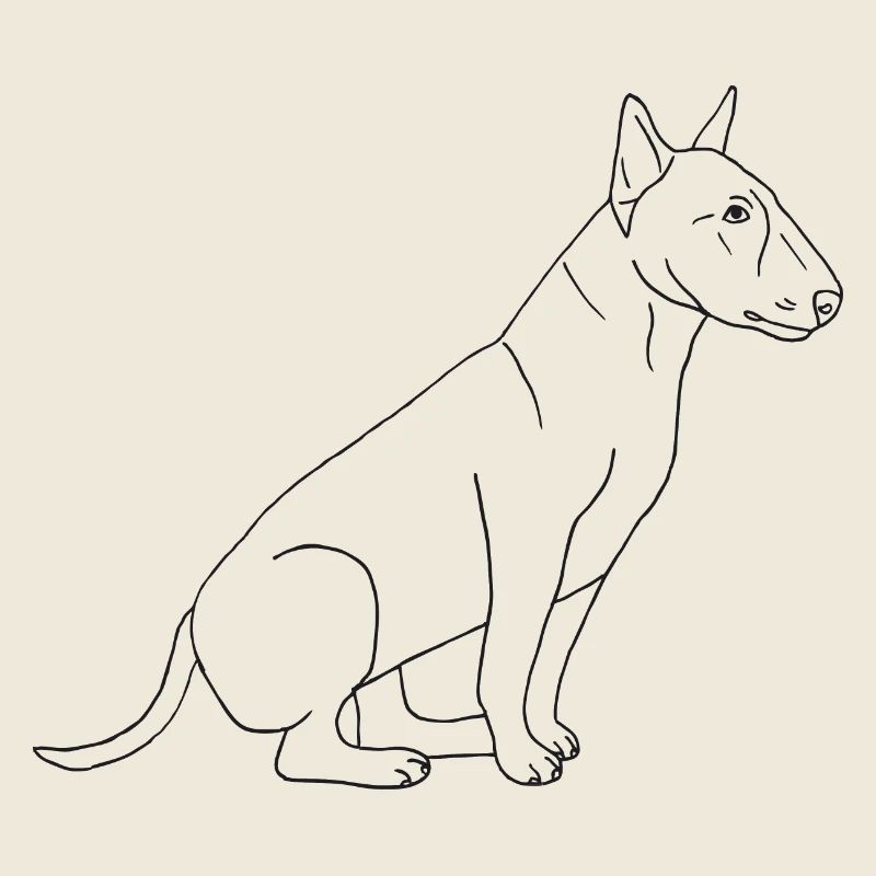 Bullterrier