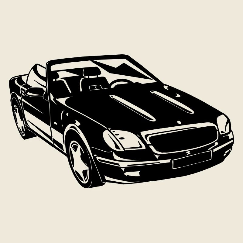 SLK Roadster Cabrio (25)