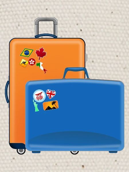 valise