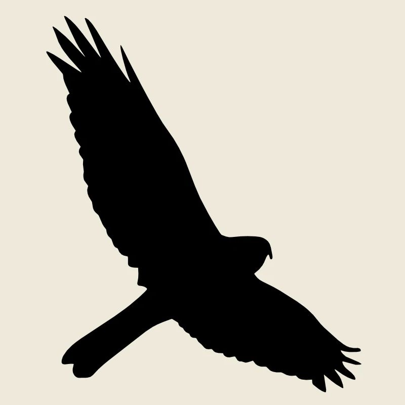 faucon