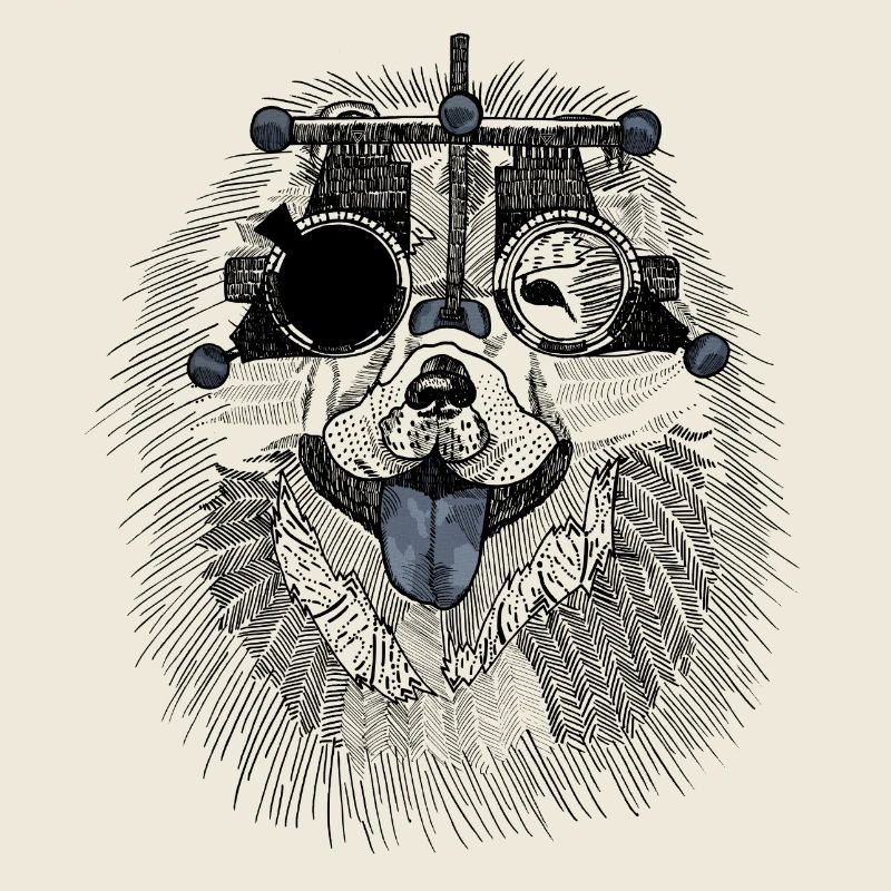 Optometrist dog with trial glasses