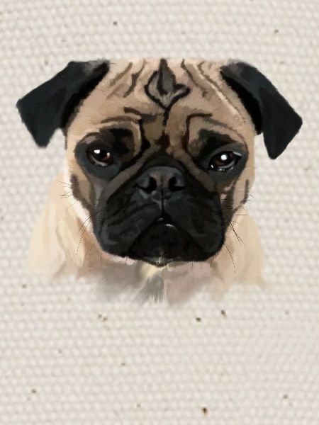 Mops