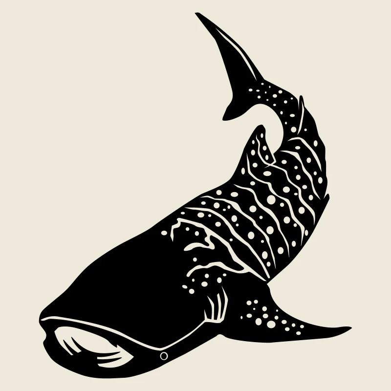whaleshark 2