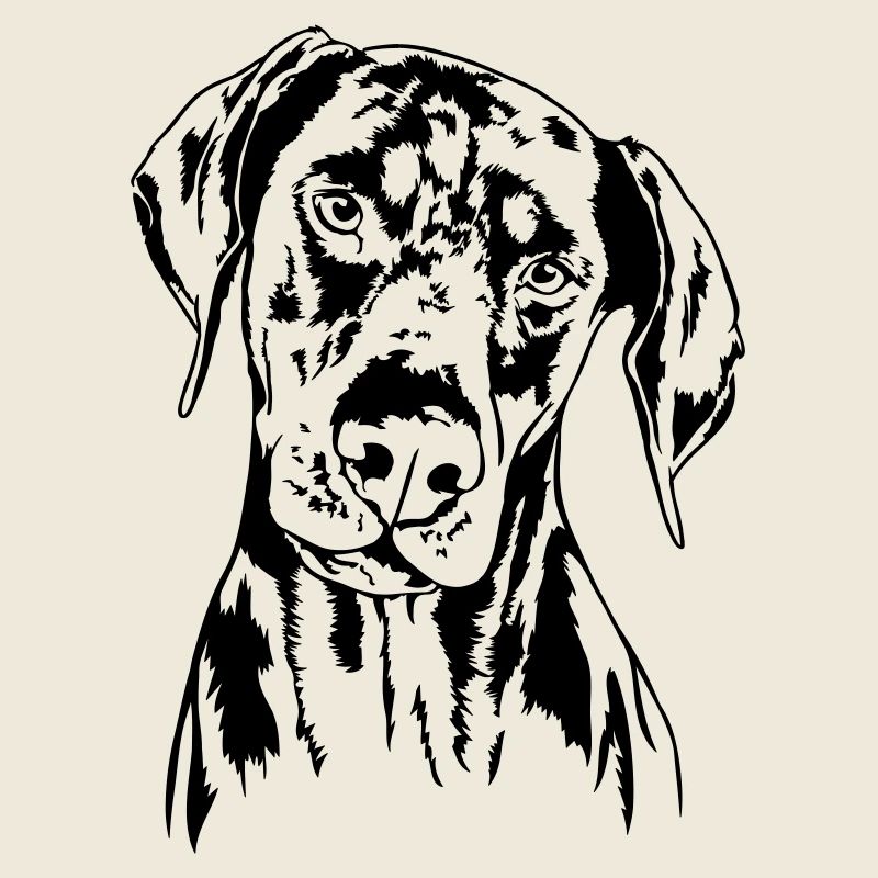 DOBERMANN Doberman Pinscher Hundeportrait Wilsigns