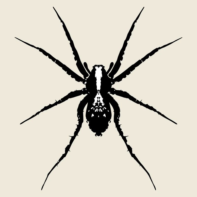 Spinne / Wolfsspinne