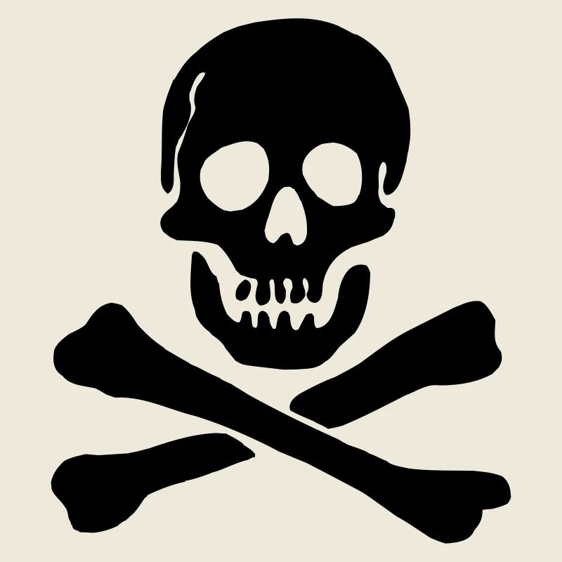 Drapeau pirate Crâne avec os croisés