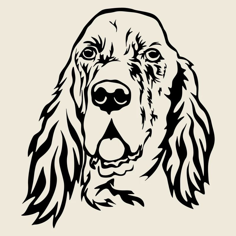 Tête de setter anglais