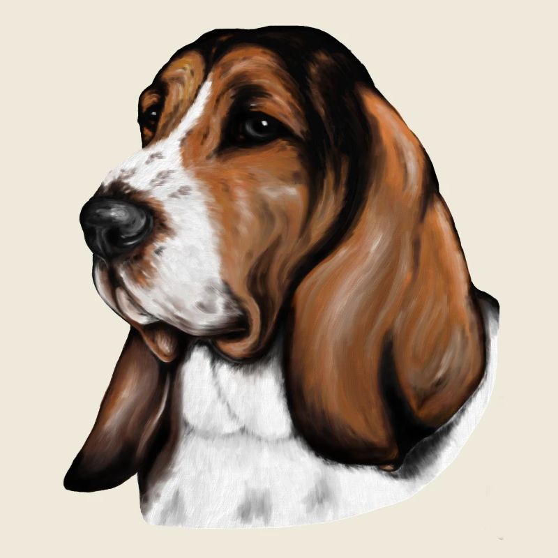 Basset Portrait