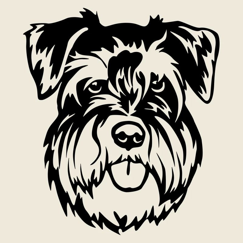 Zwergschnauzer Kopf