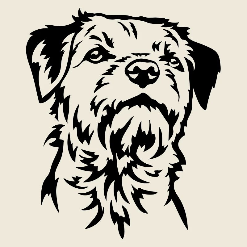 Border Terrier Kopf