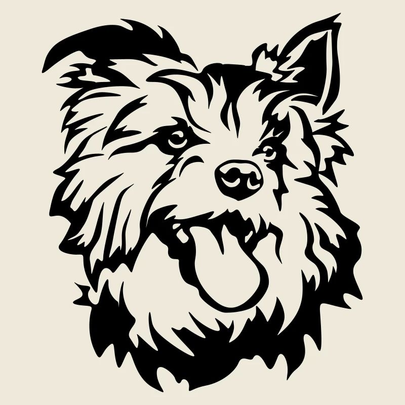 Tête de terrier australien