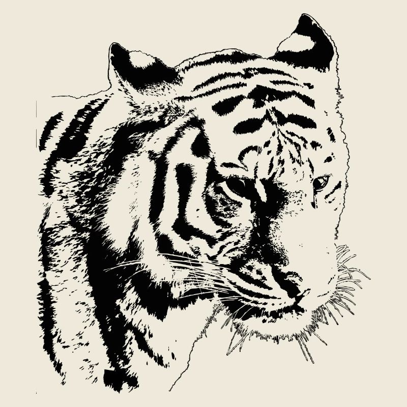 schwarzer Tiger