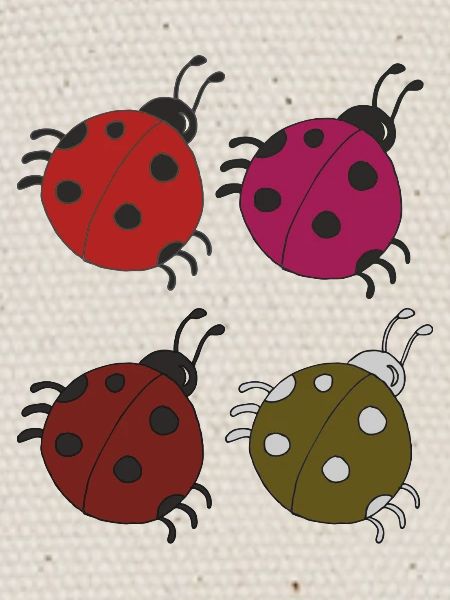 Coccinelle 4 Pack