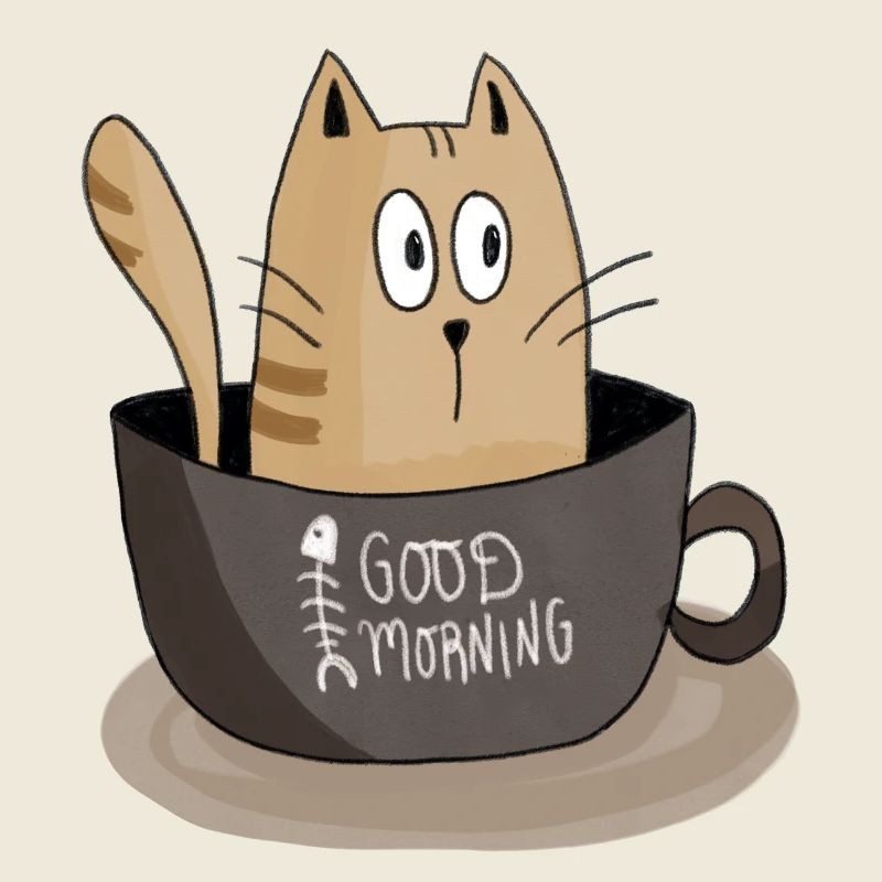 Chat du matin