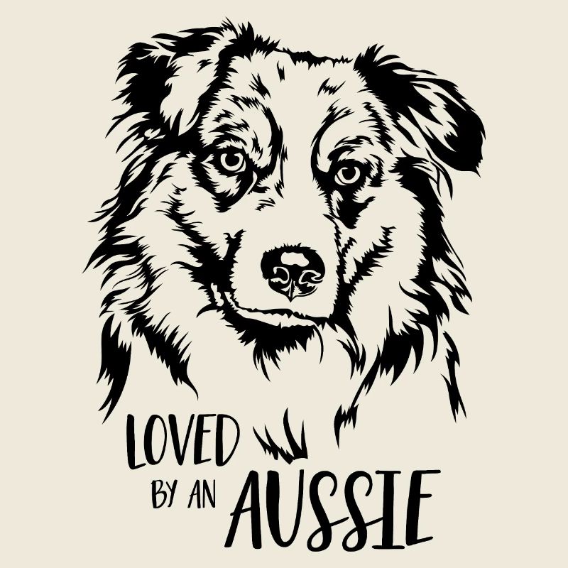 Australian Shepherd loved by an Aussie Wilsigns