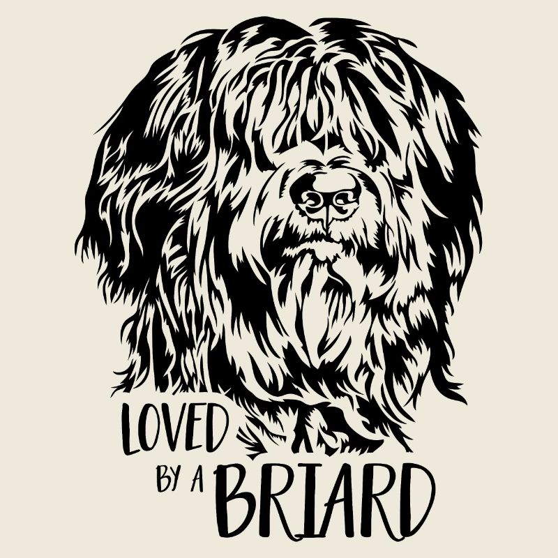 Aimé par un chien Briard Chien Wilsigns