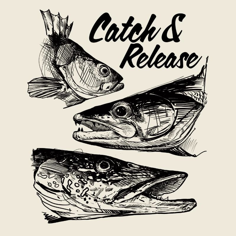 Catch & Release