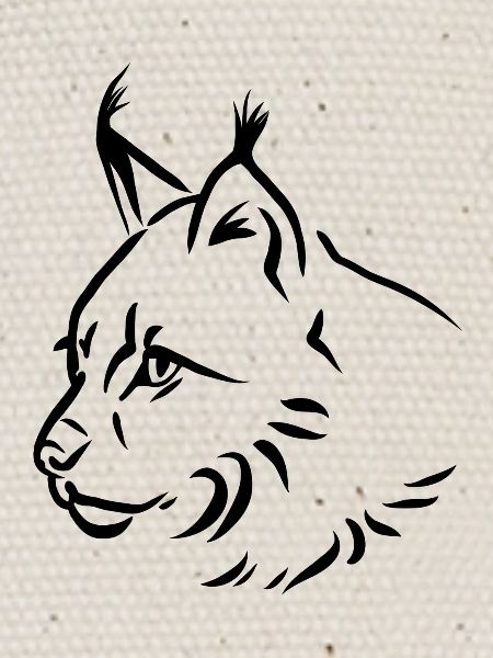 Lynx