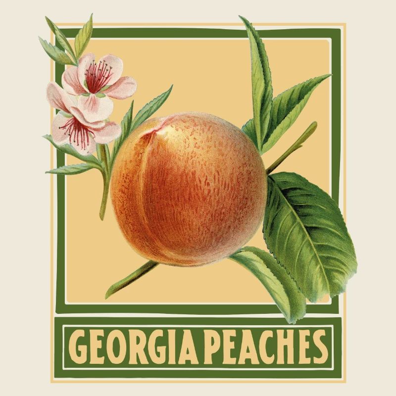Georgia Pfirsiche / Sommerdesign
