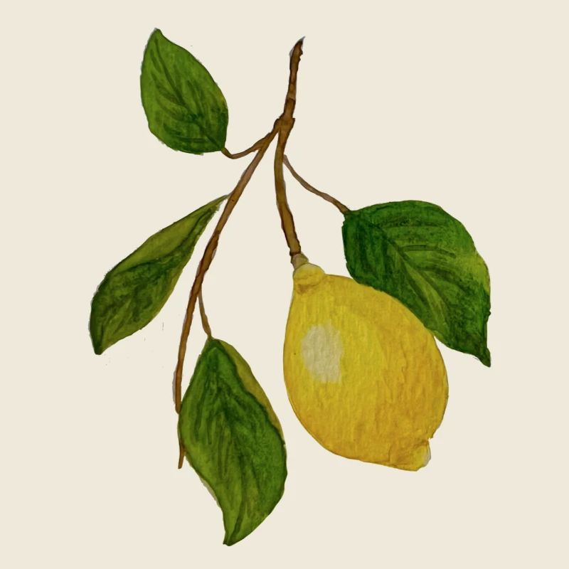 Branche de citron