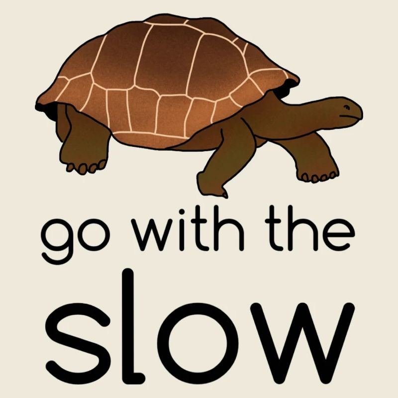 go with the slow - Schildkröte