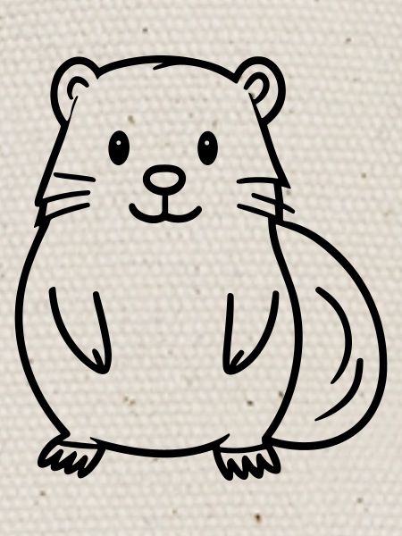 Marmotte