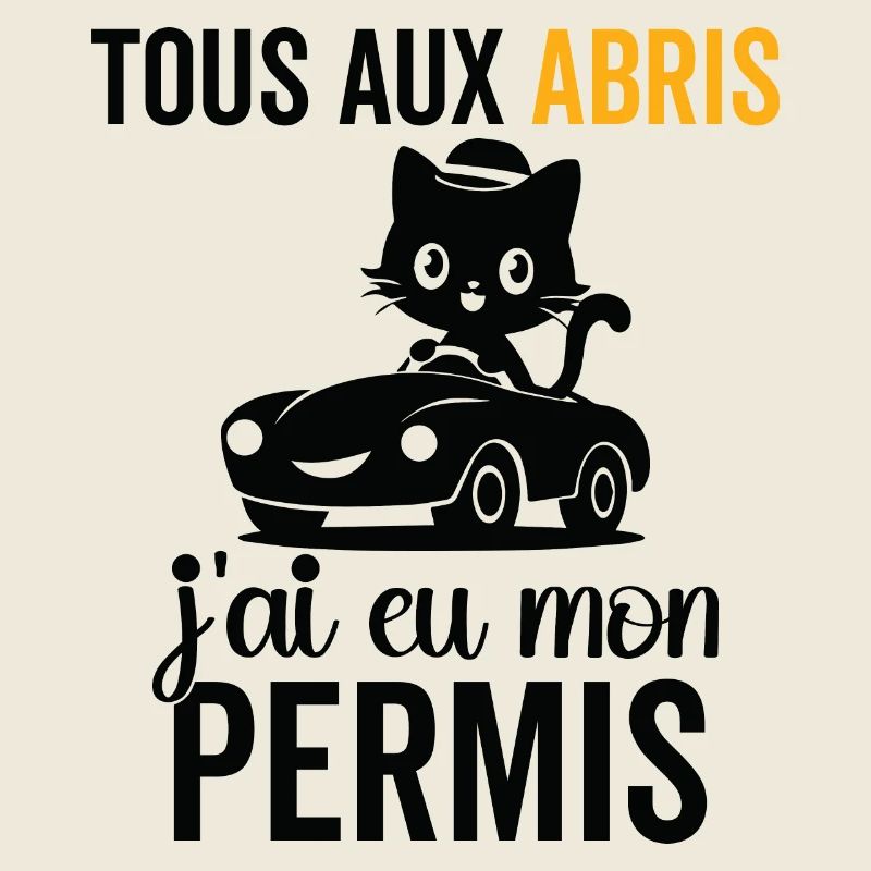 J'ai eu mon Permis félicitations à moi même
