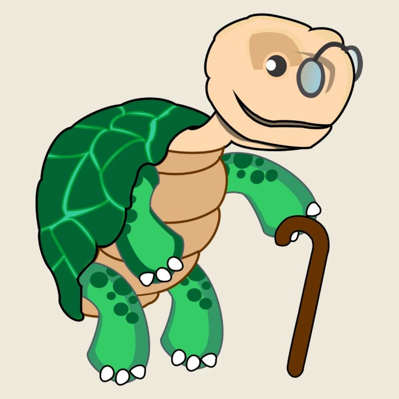 Slow turtle with glasses and walking stick