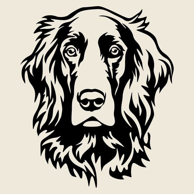 Irish Setter Kopf