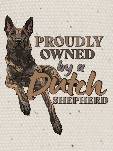 Dutch Shepherd - Dutchie 