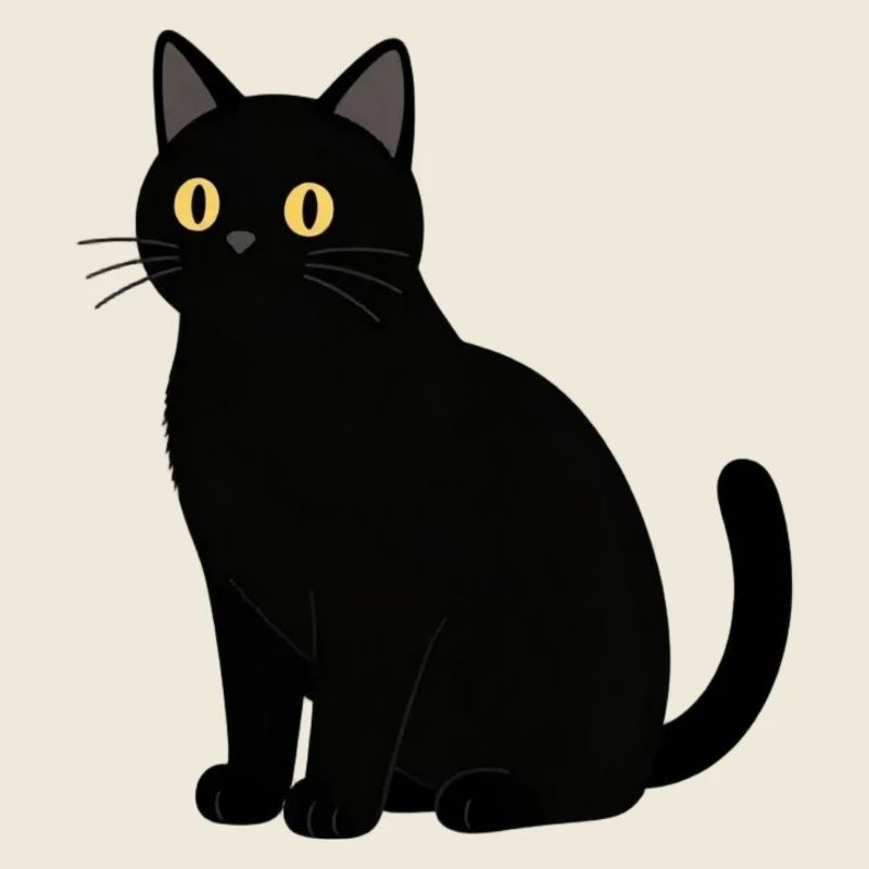 schwarze Katze Katze schwarz