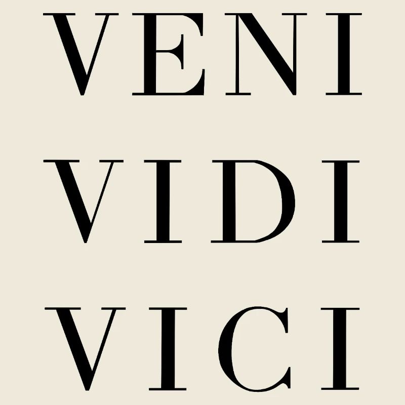 Veni Vidi Vici