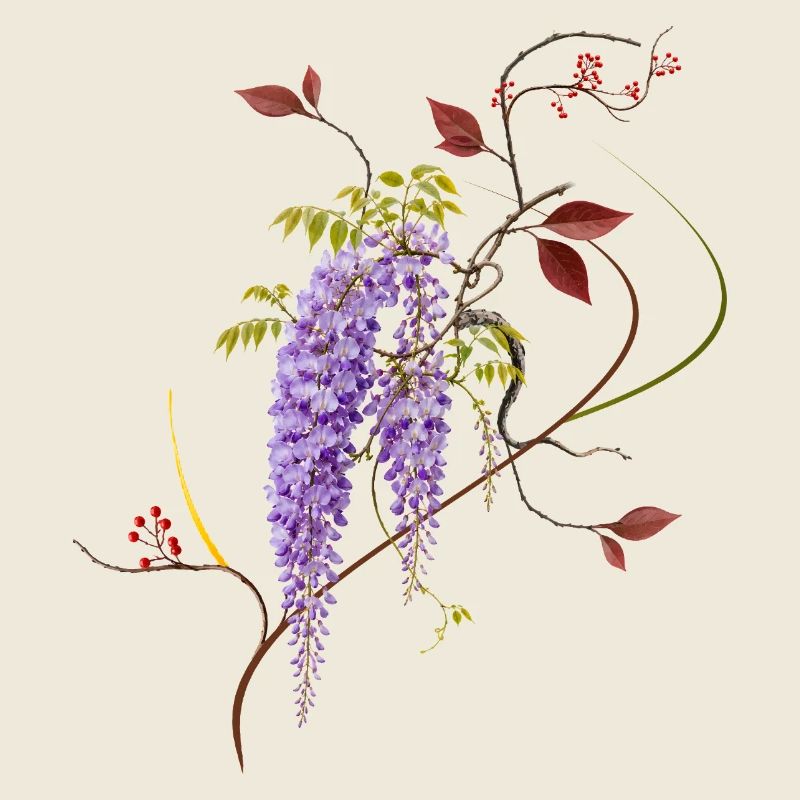 La glycine fleurit pleine de légèreté, de tranquillité et de zen