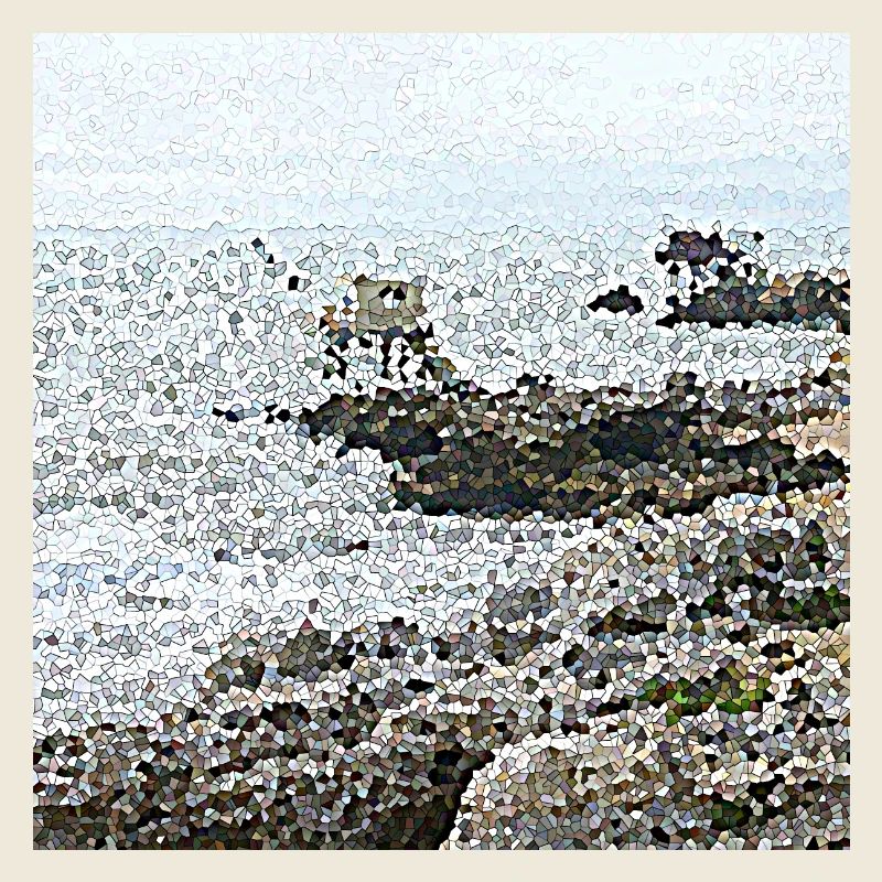 Les cabanes de pêcheurs