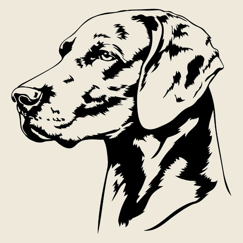 Braque de Weimar Portrait Chiens Chien Chiens De Chasse Wilsigns