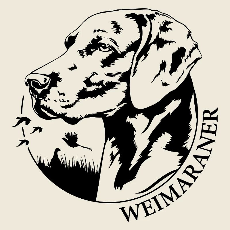 Braque de Weimar Portrait Chiens Chien Chiens De Chasse Wilsigns