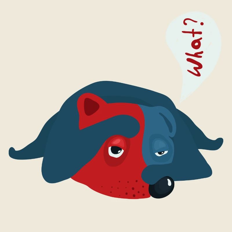 Hund