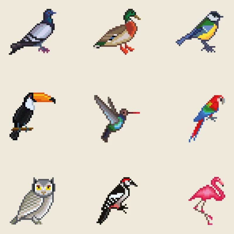 Vögel