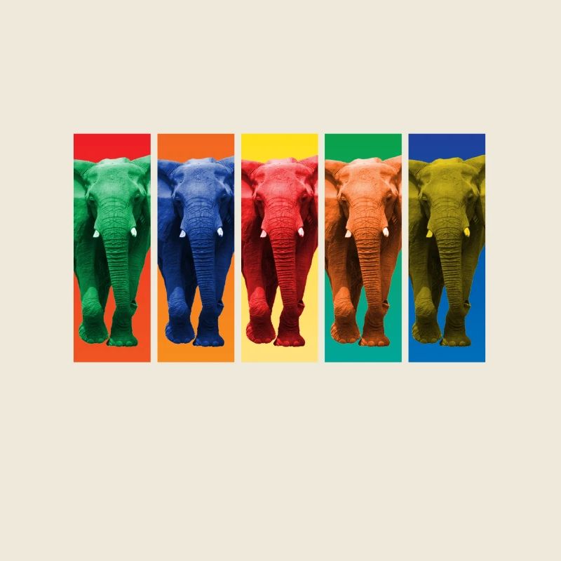 Elefanten - Pop Art